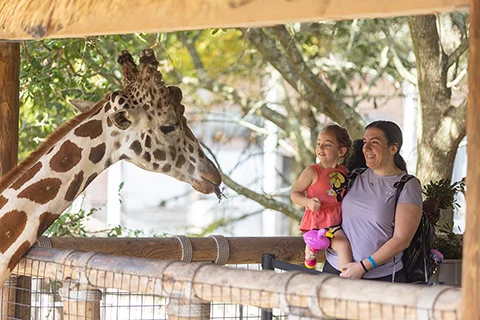 MicrosoftTeams-image (10)